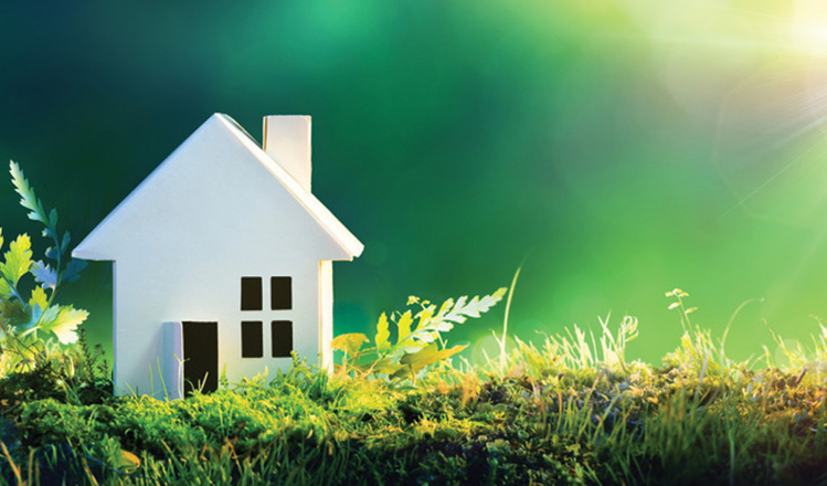 tiny home placed in grass