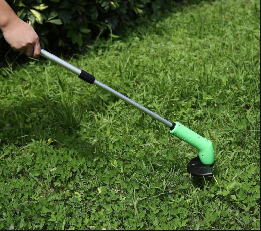lawn weeds