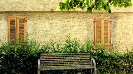 bench
