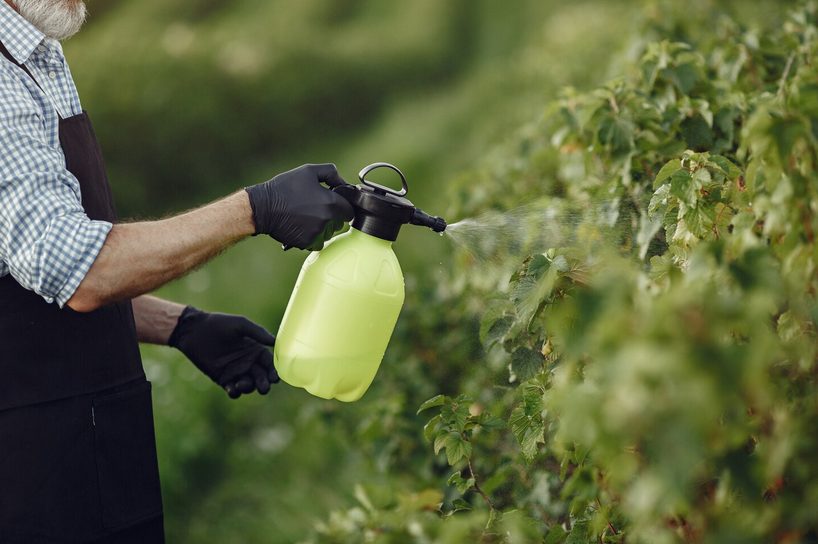 fertilizer